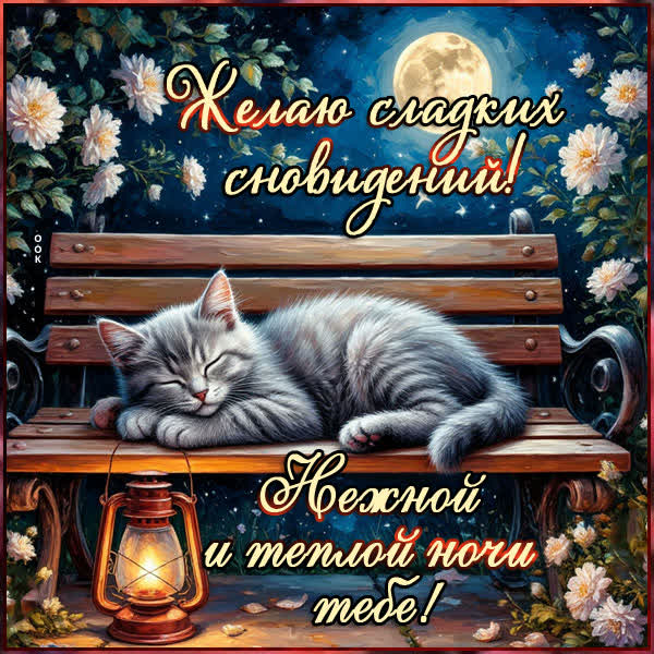 Postcard открытка нежной и теплой ночи тебе