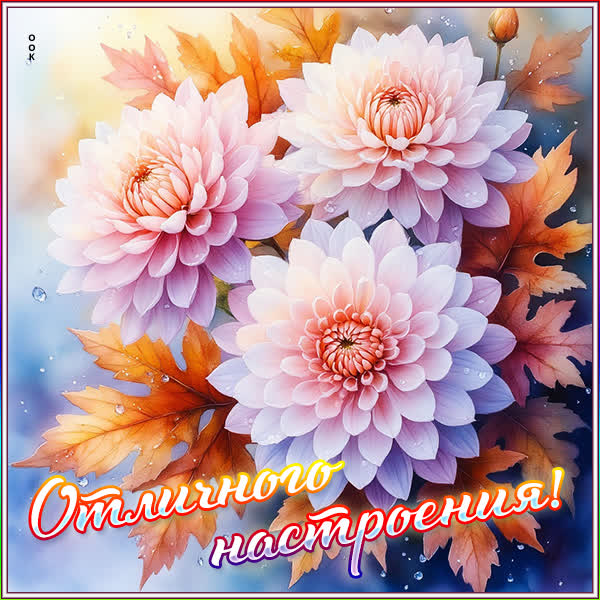 Picture открытка отличного настроения