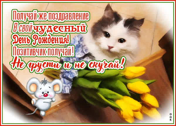 Postcard открытка получай же поздравления