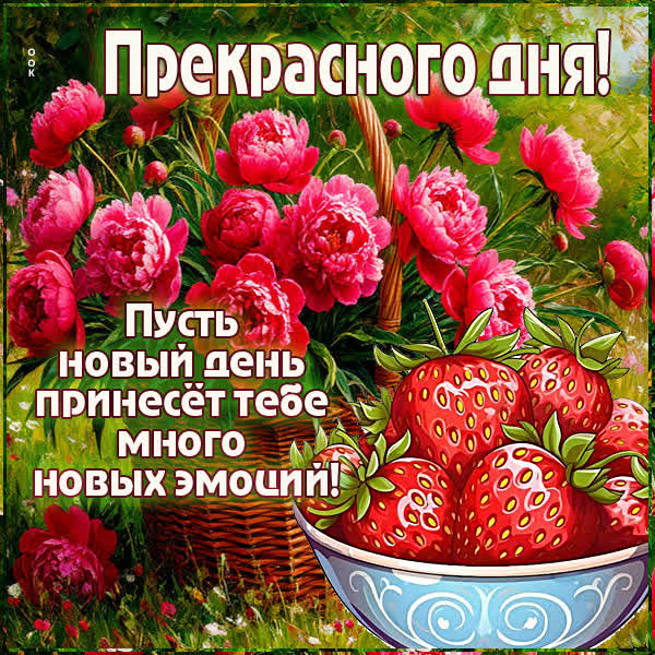 Picture открытка прекрасного дня и эмоционального летнего дня