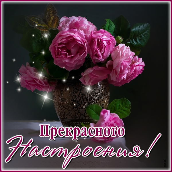 Открытка открытка прекрасного настроения