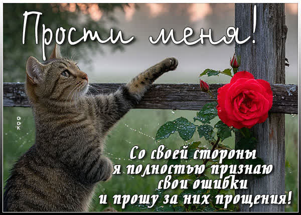 Picture открытка прими мои извинения за все ошибки