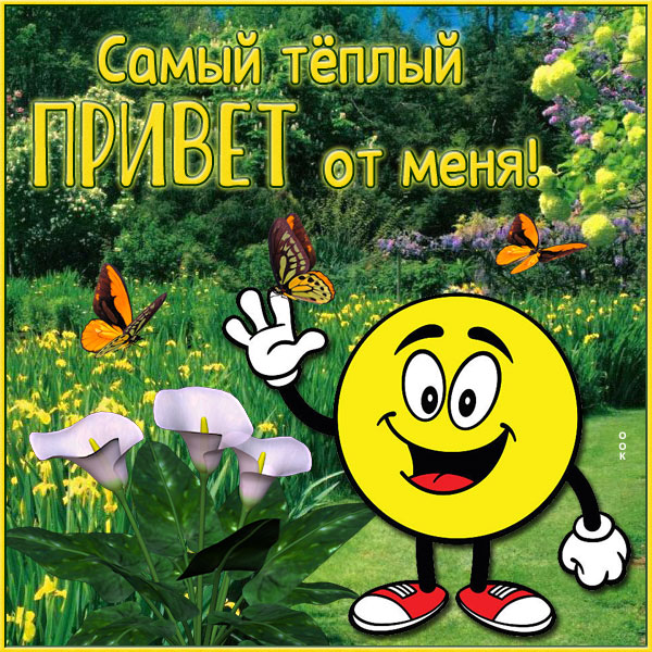 Открытка открытка привет чудесному человеку