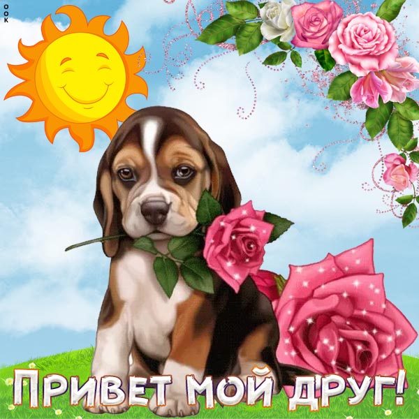 Картинка открытка привет для друзей
