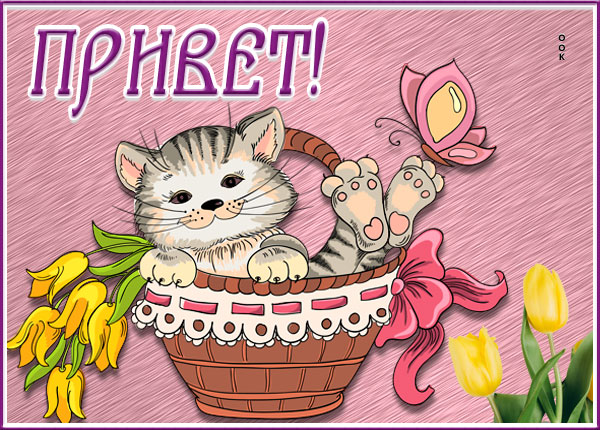 Открытка открытка привет как дела