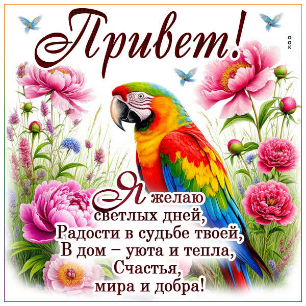 Postcard открытка привет, пусть дни будут светлыми