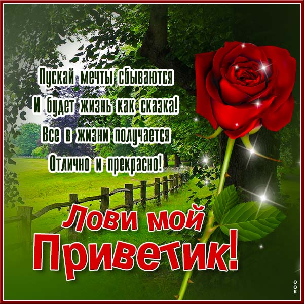 Картинка открытка привет с пожеланием