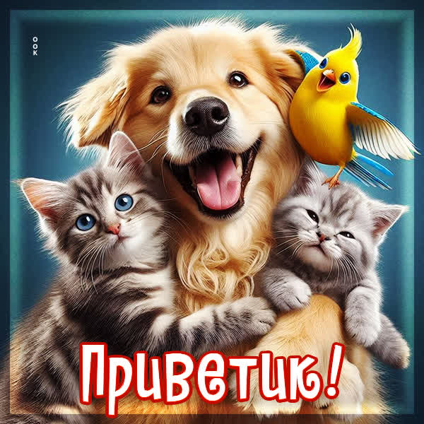 Postcard открытка приветик тебе