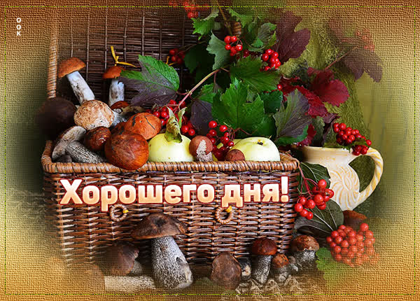 Postcard открытка приятного дня и хорошей погоды