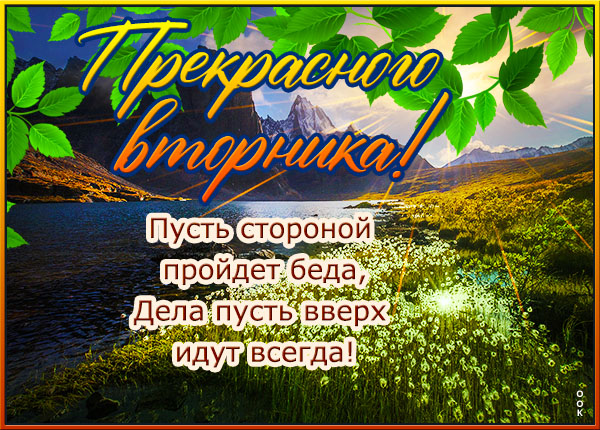 Картинка открытка продуктивного вторника