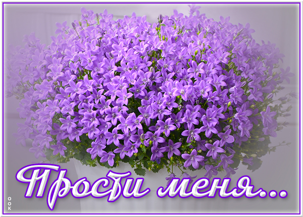 Картинка открытка прошу прости