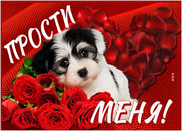 Открытка открытка прости, мне плохо без тебя