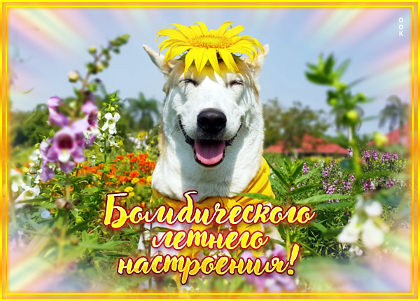 Открытка открытка пусть хорошим будет ваше настроение