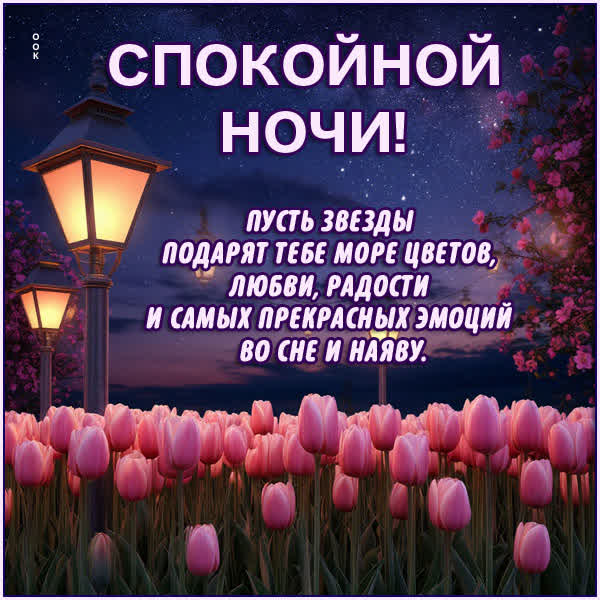 Postcard открытка пусть ночные звезды подарят море цветов