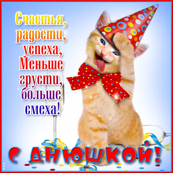 Postcard открытка с днюшкой с котом
