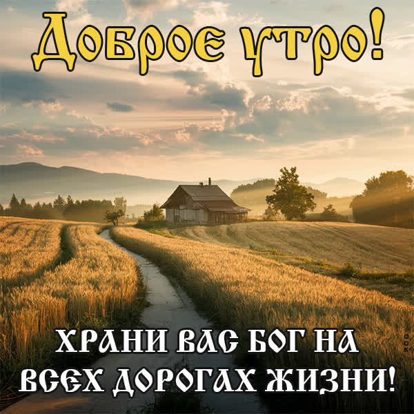 Picture открытка с нежным утром