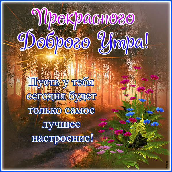 Картинка открытка с новым утром