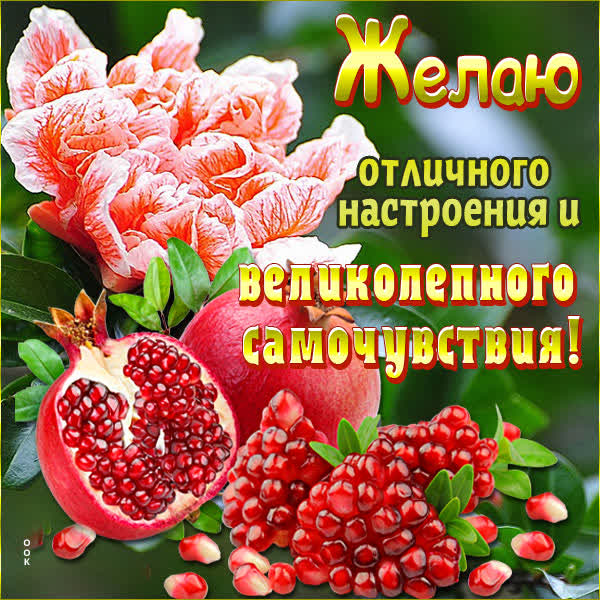 Picture открытка с пожеланиями родственникам