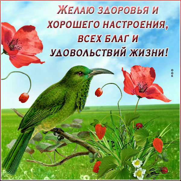 Открытка открытка с пожеланиями друзьям