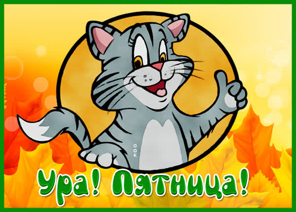 Picture открытка с пятницей с котиком