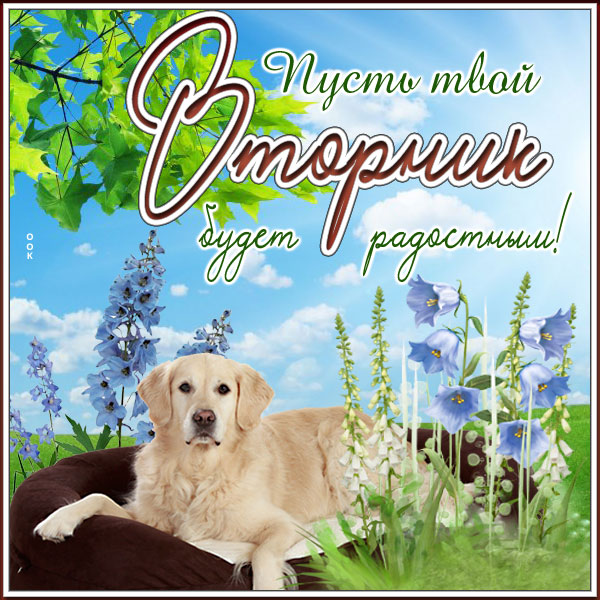Картинка открытка с вторником для друзей