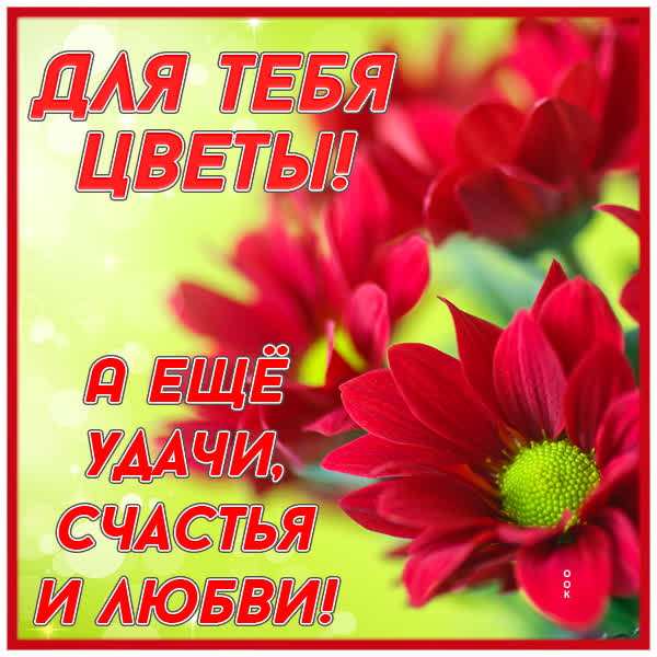 Picture открытка с яркими цветами
