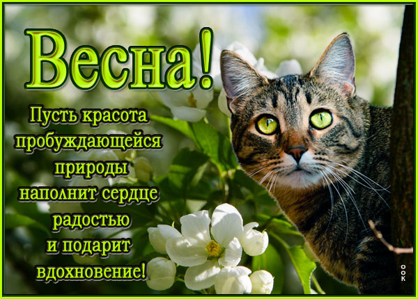 Открытка открытка счастливой весны