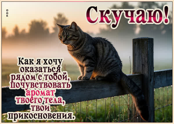 Picture открытка скучаю и хочу быть рядом с тобой