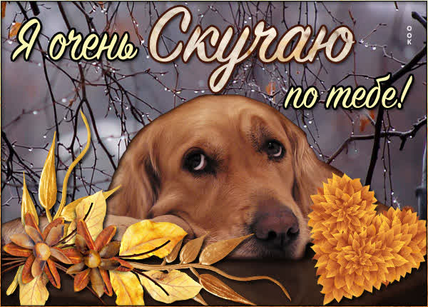 Postcard открытка скучаю очень-очень