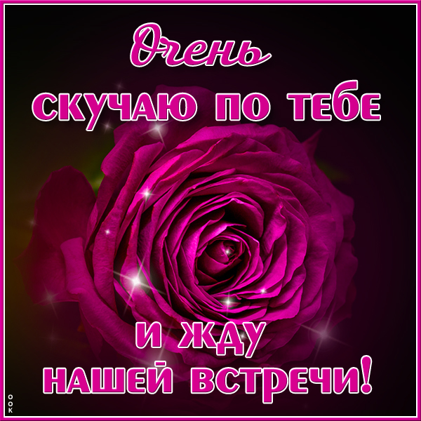 Открытка открытка скучаю с розой