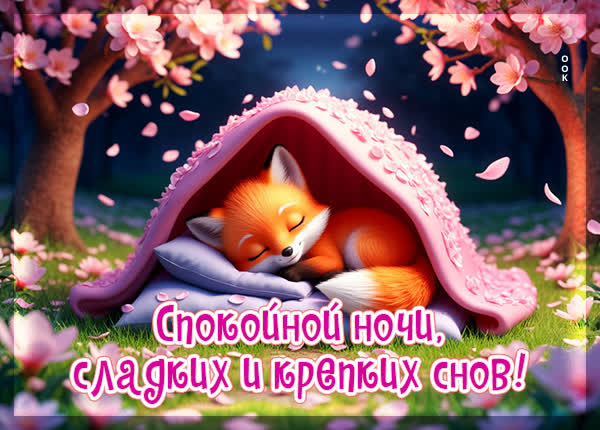 Postcard открытка сладких и крепких снов