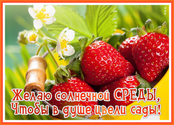 Postcard открытка со средой хорошей недели