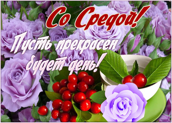 Картинка открытка со средой с текстом