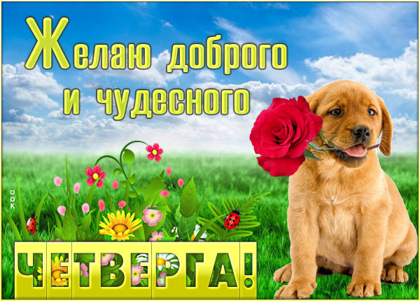 Открытка открытка солнечного четверга