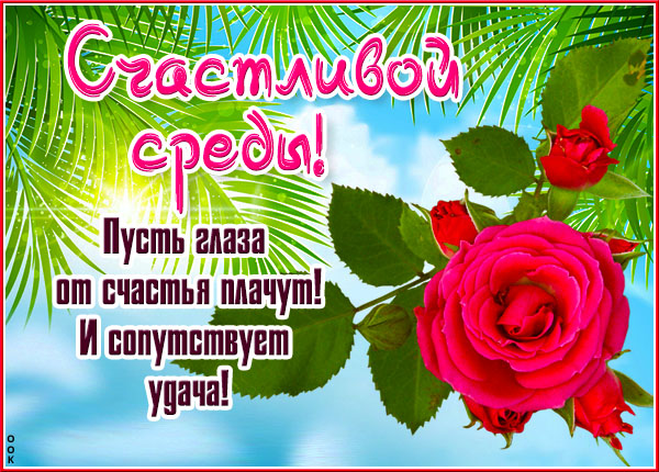 Открытка открытка солнечной среды