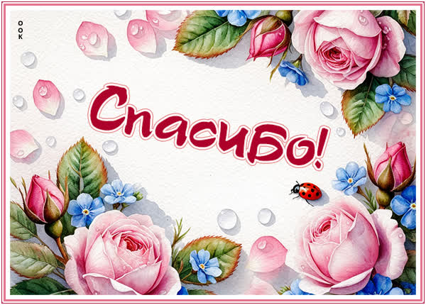 Postcard открытка спасибо за все тебе большое
