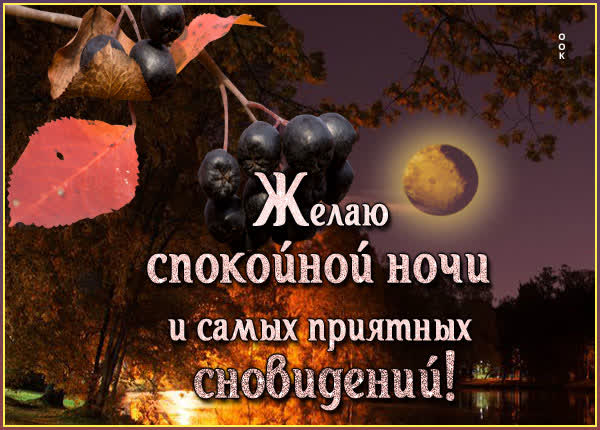 Postcard открытка спокойной ночи любимому