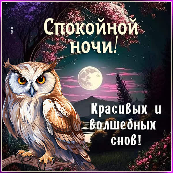 Postcard открытка тихой ночи и светлых грёз