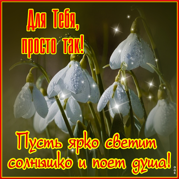 Открытка открытка весеннего тепла
