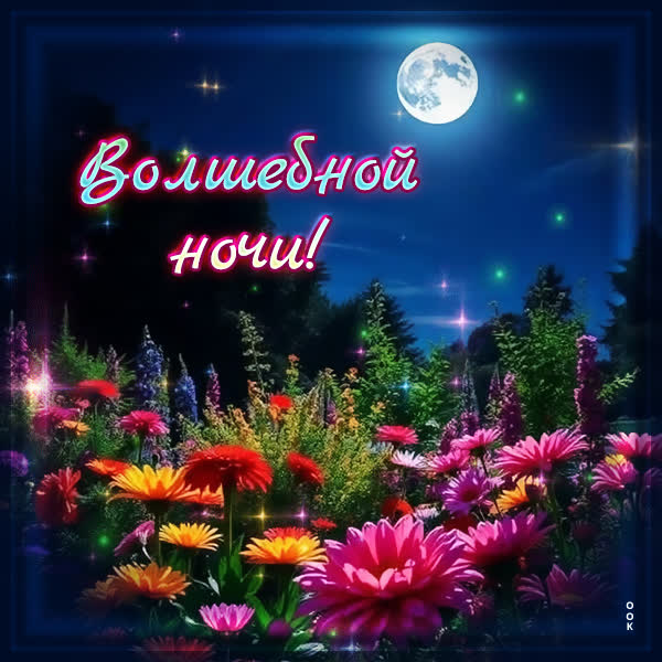 Postcard открытка волшебной летней ночи
