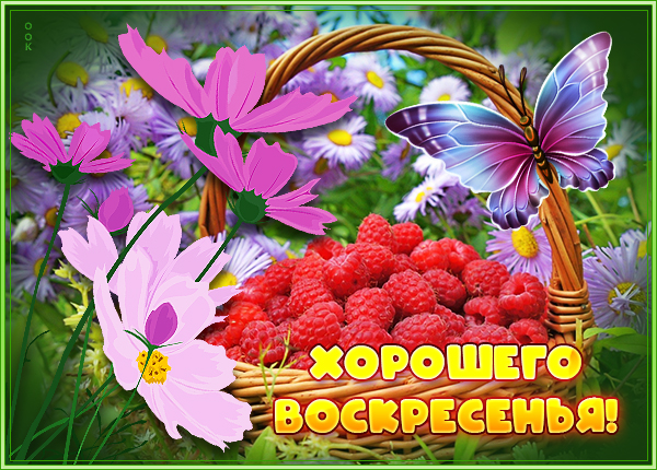 Картинка открытка воскресенье с цветами