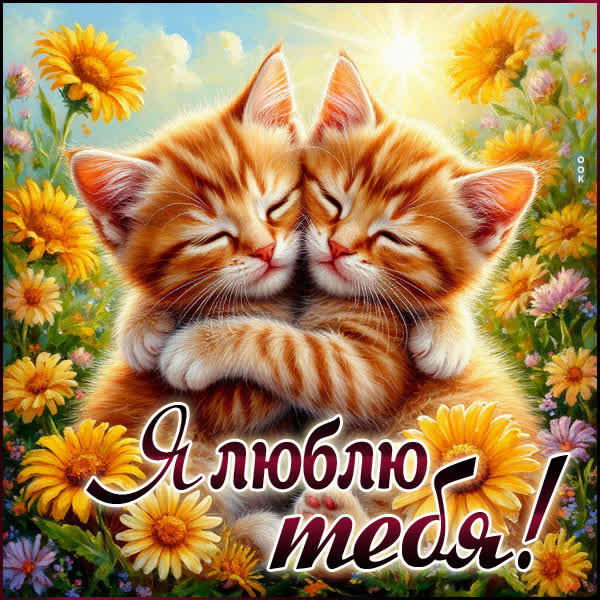 Postcard открытка хочу обнимать тебявсегда