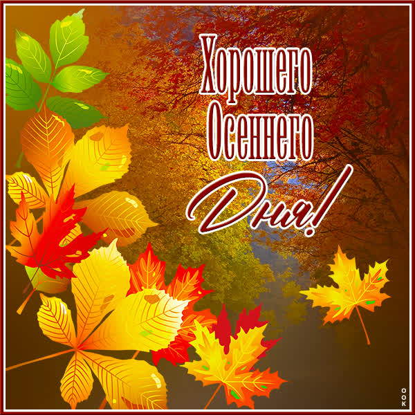 Picture открытка хорошего дня осенние листья