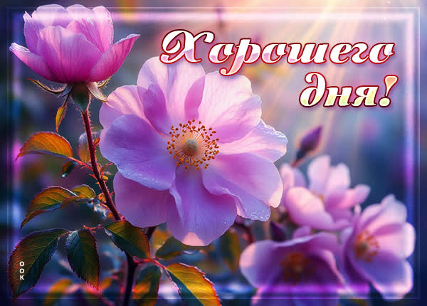 Postcard открытка хорошего и прекрасного дня, как этот цветок