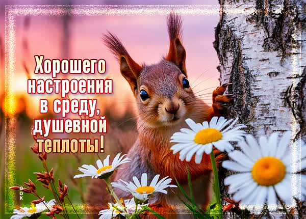 Picture открытка хорошего настроения в среду