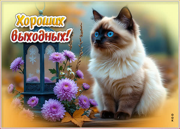 Picture открытка хороших осенних выходных