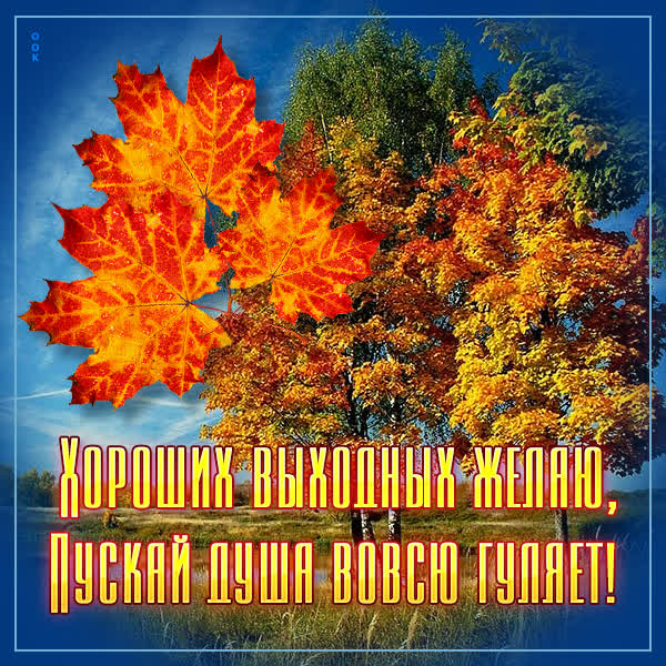 Picture открытка хороших вам осенних выходных