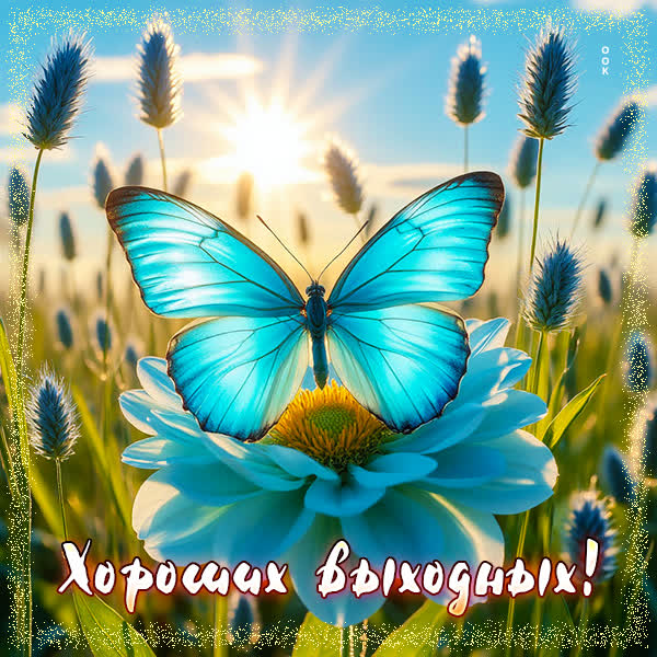 Picture открытка хороших выходных
