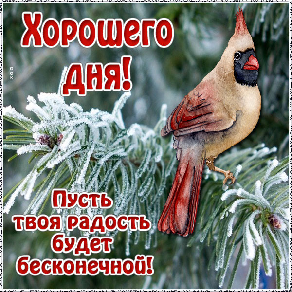 Открытка открытка яркого дня