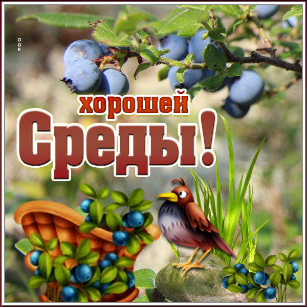 Картинка открытка замечательной среды